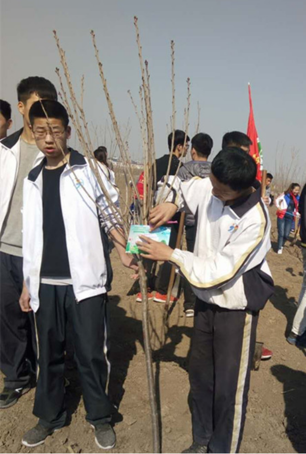 广饶县大王镇实验中学开展植绿护绿活动
