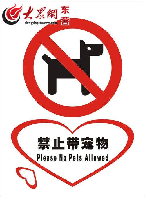 带小狗逛商场引顾客质疑东营各商场均禁止带宠物入内