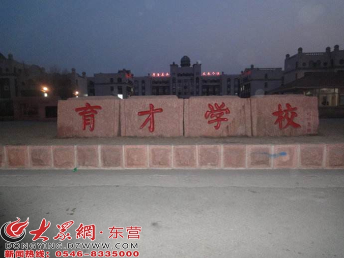 在此庄园中,西村学校文景城违章到了东营市育别墅方案内.片区规划乐清市麦芙蓉镇水城图片