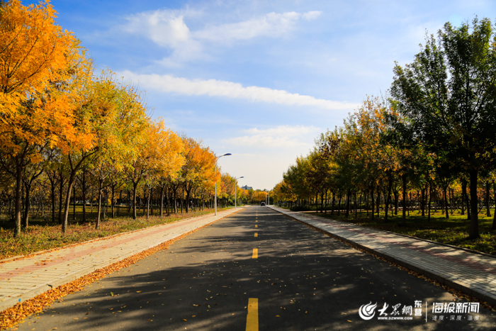 金秋看东营之城市街景 高饱和度模式美景袭来