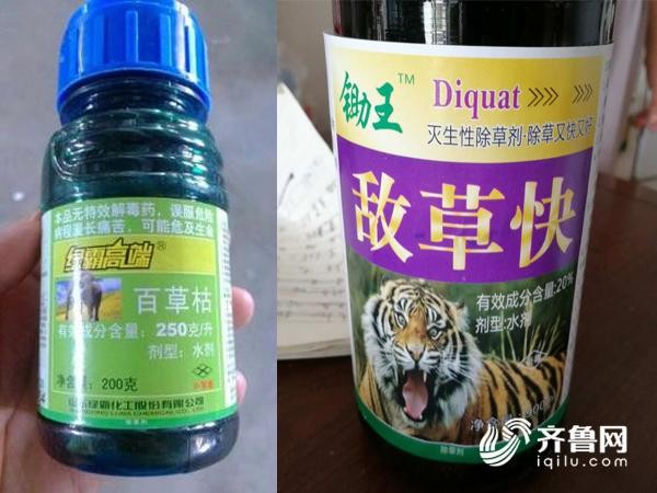 百草枯须实名购买!济南强化禁限用农药监管