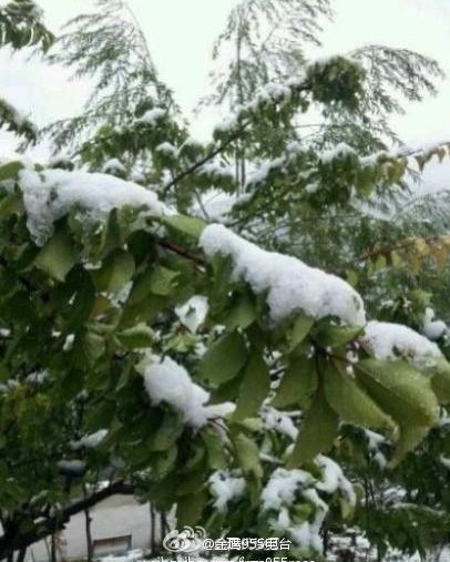 绵阳下雪了!四川9月飞雪 康定折多山大雪封山