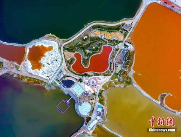 美翻了!"中国死海"山西运城盐湖变身"调色盘"