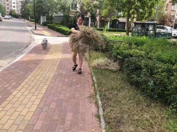 辛店街道人口_辛店街道办徐庆堂