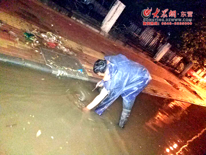 登录查看大图