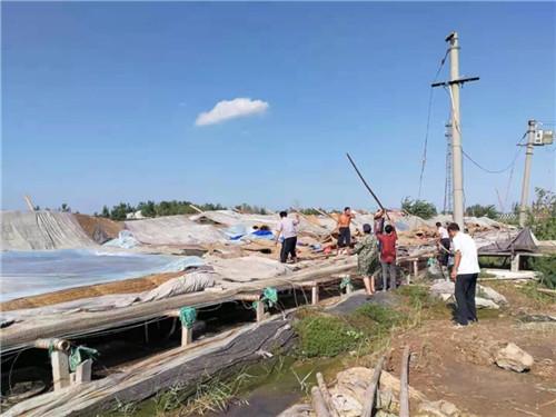 东营市河口区城镇人口_东营市河口区地图(3)