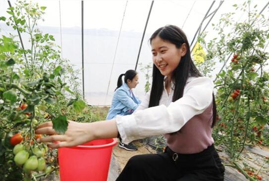 夹河乡白铺村有多少人口_宁夏有多少人口