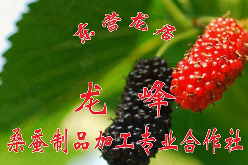 帱